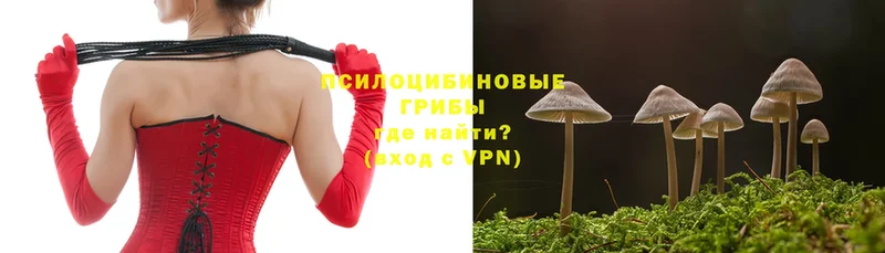 Псилоцибиновые грибы Magic Shrooms  Духовщина 